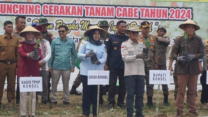 Bupati Konsel Surunuddin