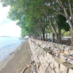 IMG20240202144609 Iskandar